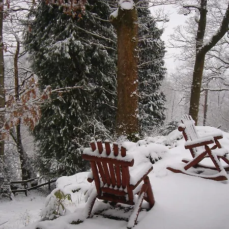 Blelham Tarn Rustic Cabin In Tranquil Woodland Ambleside Extérieur photo