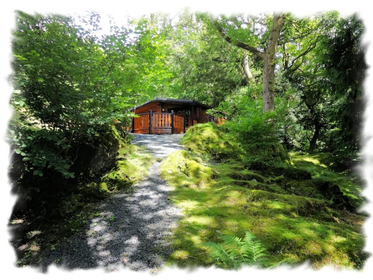 Hébergement de vacances Blelham Tarn Rustic In Tranquil Woodland Ambleside
