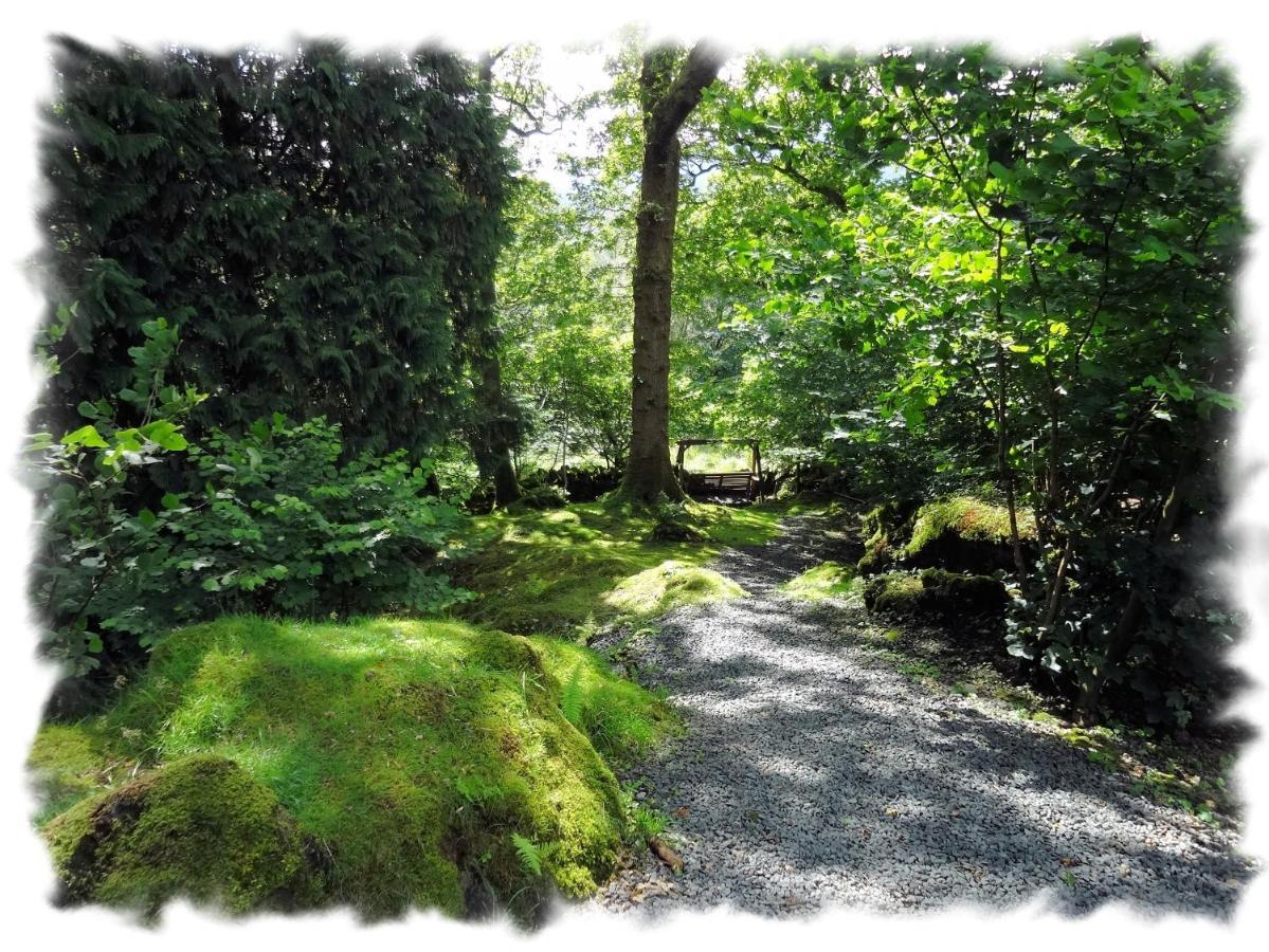 Blelham Tarn Rustic In Tranquil Woodland Hébergement de vacances *
