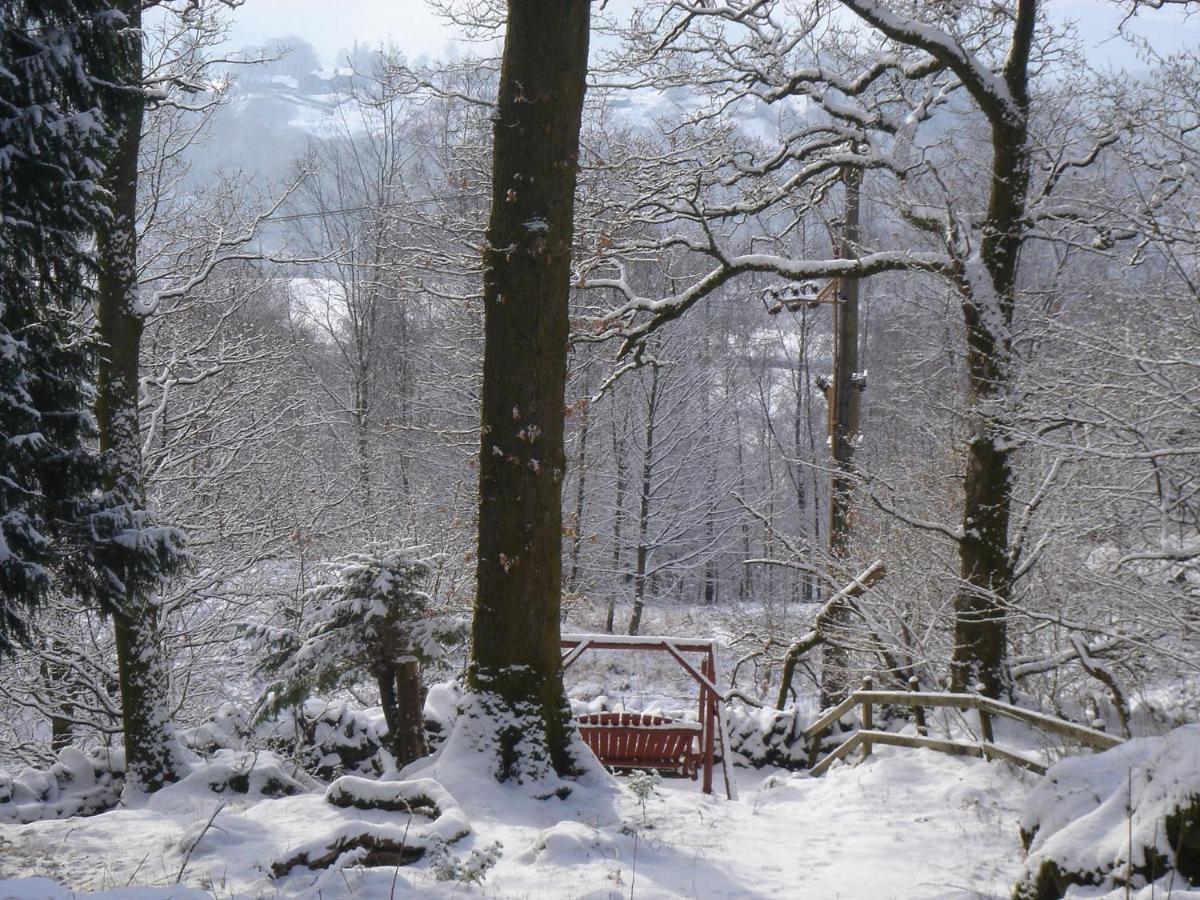 Hébergement de vacances Blelham Tarn Rustic In Tranquil Woodland Ambleside